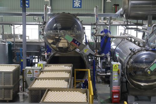 貴州陽光食品公司 電熱加工助力核桃精深加工，小核桃成就大產業
